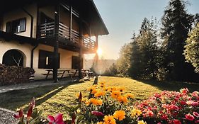Forest Camp Val Di Gresta